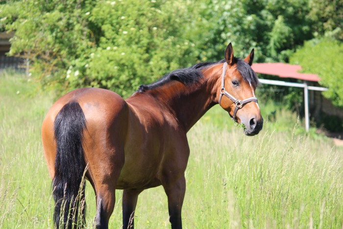 Photo de profil de malariba