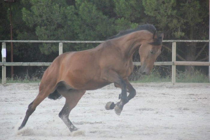 Photo de profil de equi34