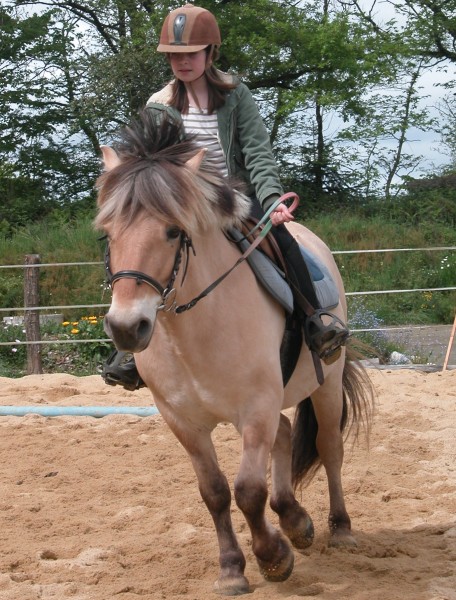 Photo de profil de quirikou