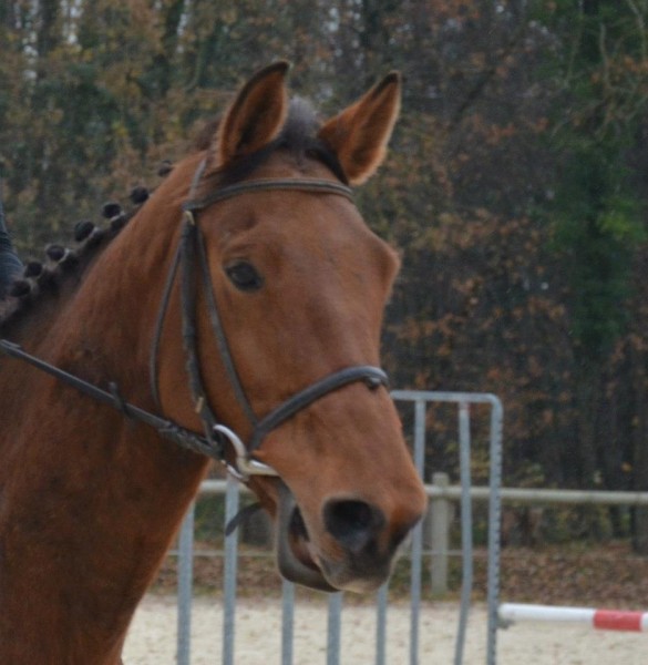 Photo de profil de camiille38