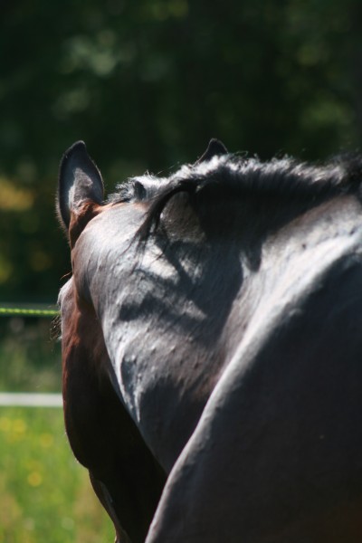 Photo de profil de eurojoy