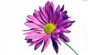 Photo de profil de ceroen