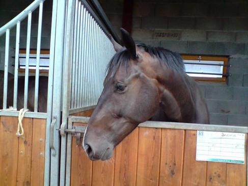 Photo de profil de milousassou