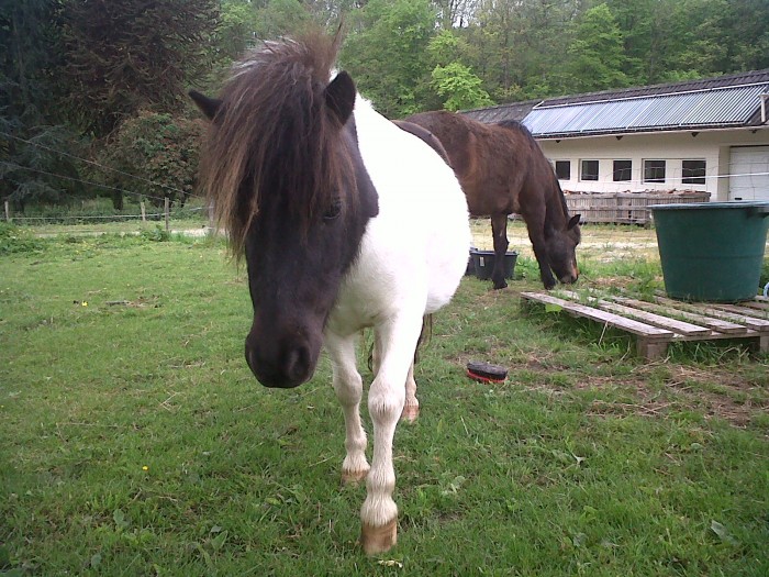 Photo de profil de jo21304