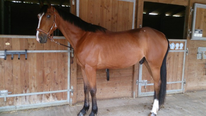 Photo de profil de abonnal