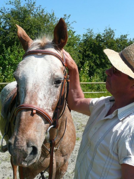 Photo de profil de phil50