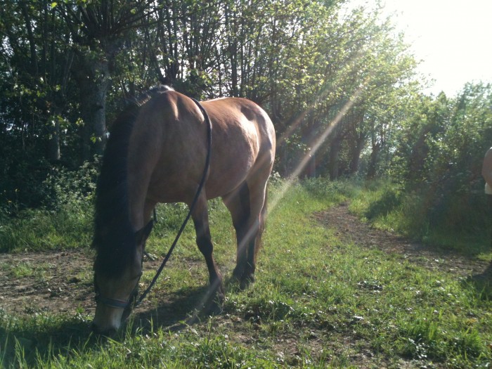 Photo de profil de gina23