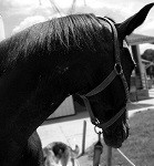 Photo de profil de maryn85