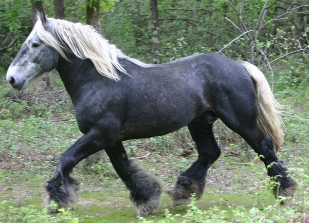 Photo de profil de loraloo