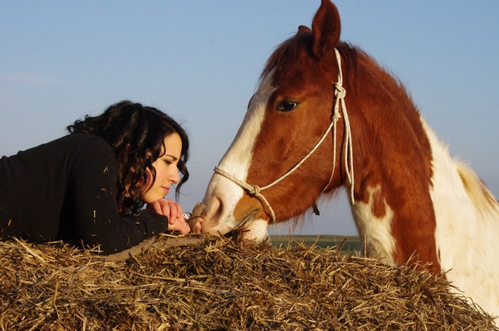 Photo de profil de attilahoy