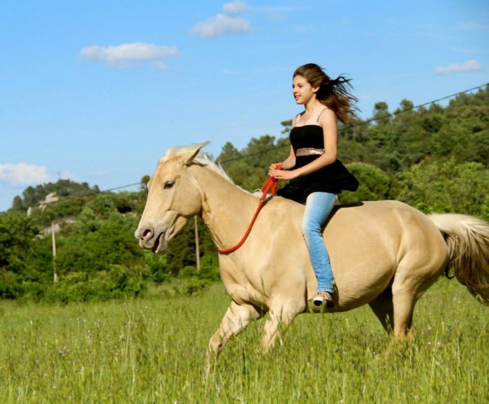 Photo de profil de ponettedeschamp