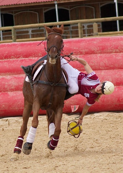 Photo de profil de icebang