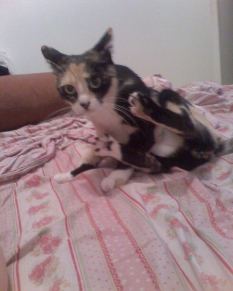 Photo de profil de mylene2b