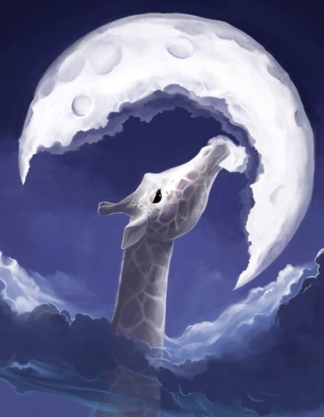 Photo de profil de jakyjack