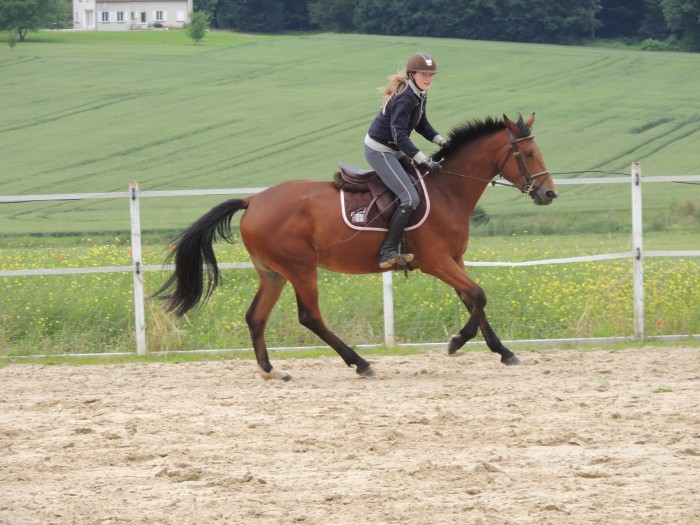 Photo de profil de aliserigoletto