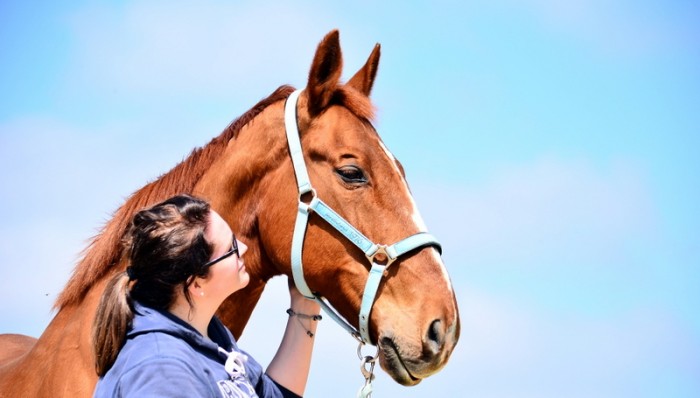 Photo de profil de ecuriedekerprat