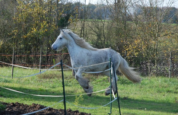 Photo de profil de maclir