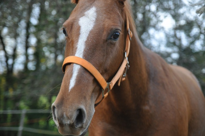 Photo de profil de camillegutz