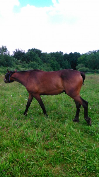 Photo de profil de opri