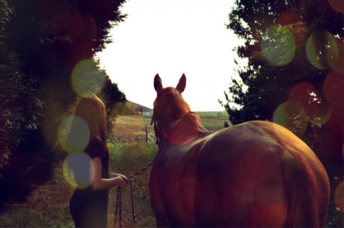 Photo de profil de iconedubocage