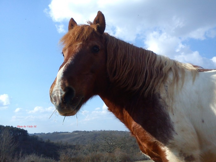 Photo de profil de vicky4614