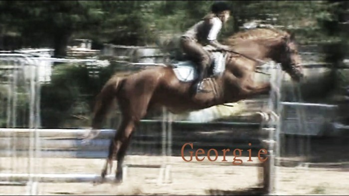 Photo de profil de heloisemiss