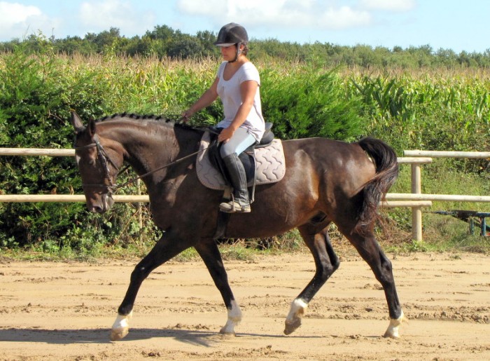 Photo de profil de laura0169
