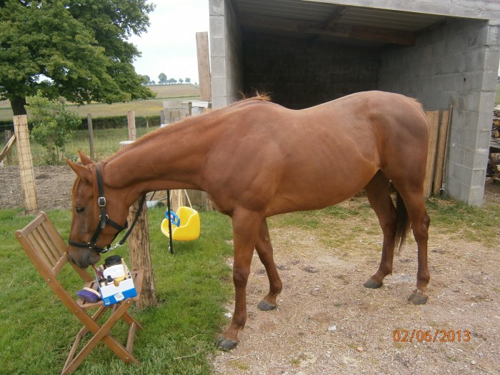 Photo de profil de bibiche19