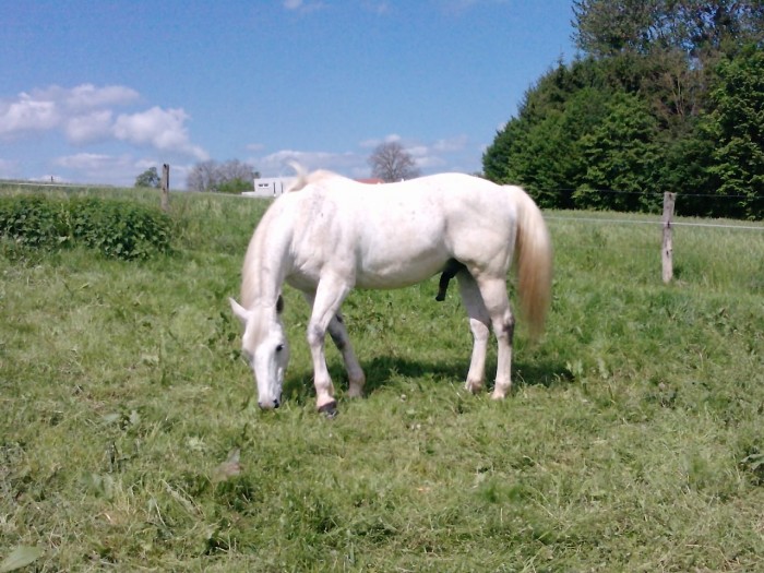 Photo de profil de sympho