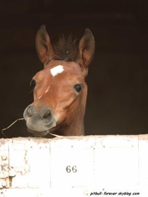 Photo de profil de fogm