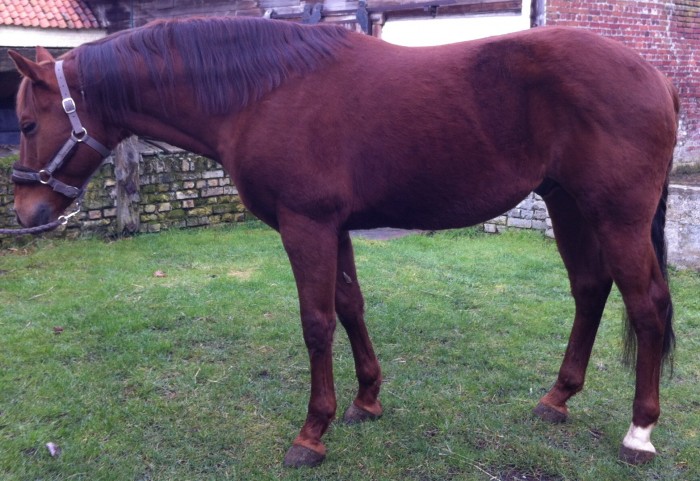 Photo de profil de mawie62