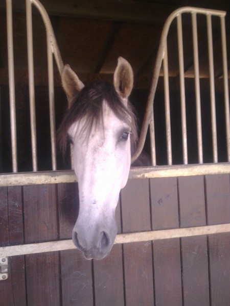 Photo de profil de abp634