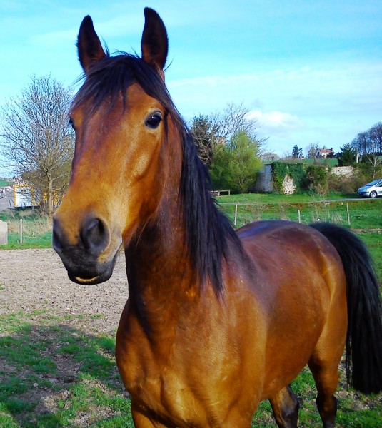 Photo de profil de uranus78