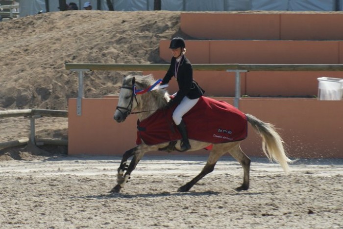 Photo de profil de nemo-bleu