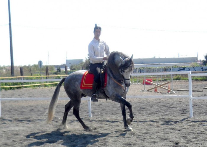 Photo de profil de thierrytreillet