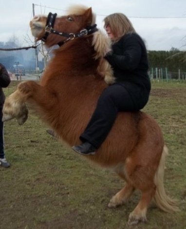 Photo de profil de samsamounette14