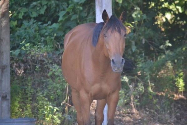Photo de profil de sauverjument