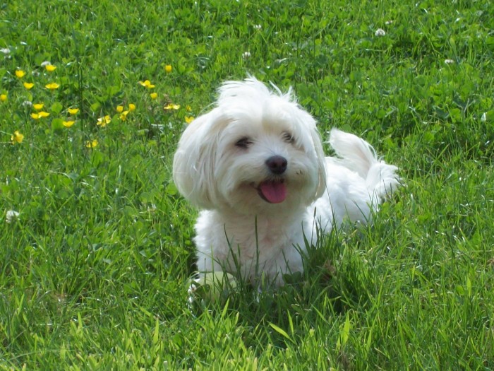 Photo de profil de ninadu456
