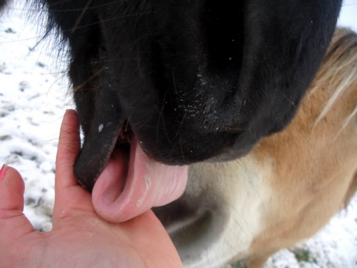 Photo de profil de charline82