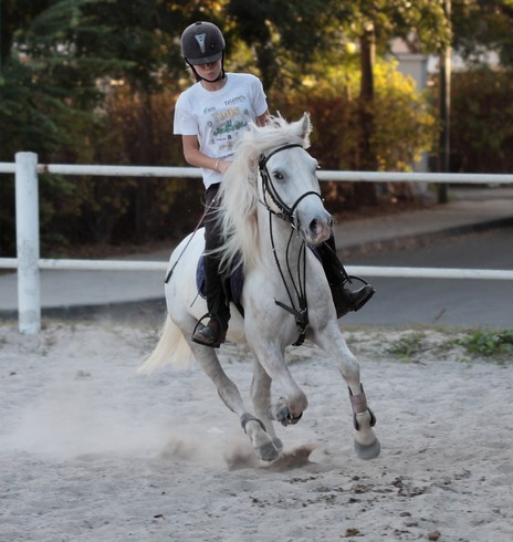 Photo de profil de salamenders