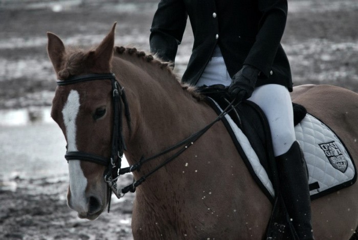 Photo de profil de gabz.8