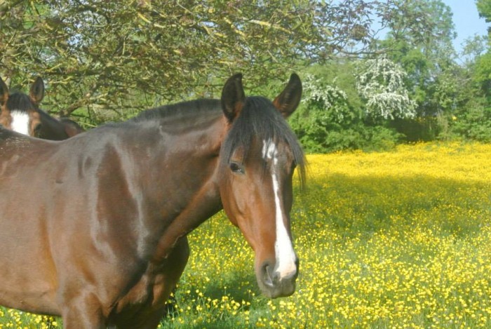 Photo de profil de doudoudu78