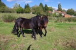 Photo de profil de sistago
