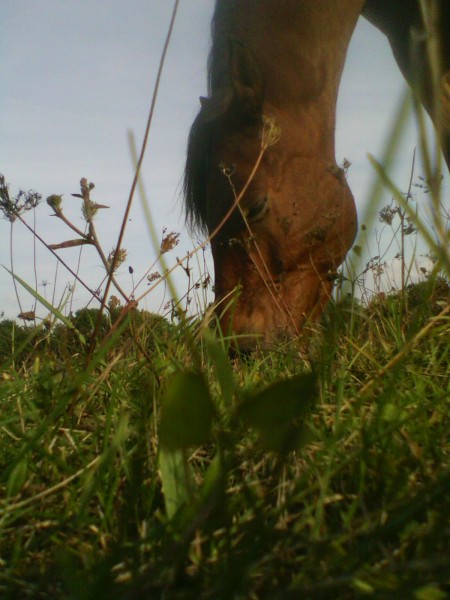 Photo de profil de hcrachouux3