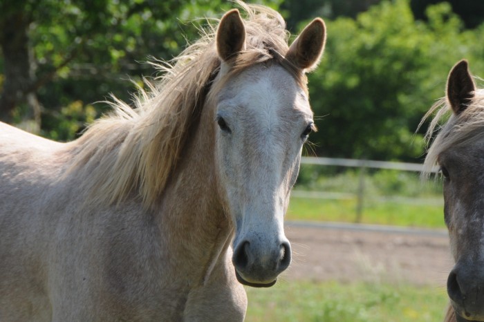 Photo de profil de bigfox45