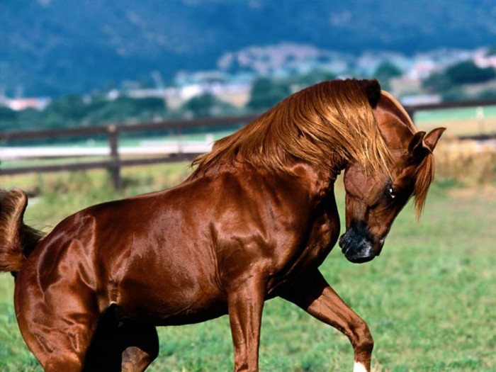 Photo de profil de emmaequi