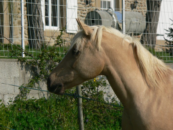 Photo de profil de tricia18