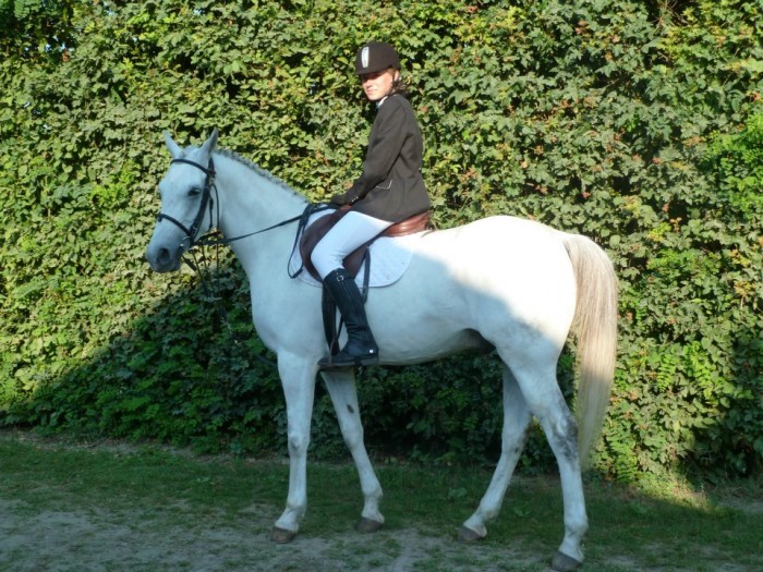 Photo de profil de mgaudin