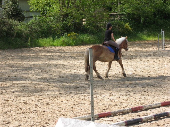 Photo de profil de kamelou