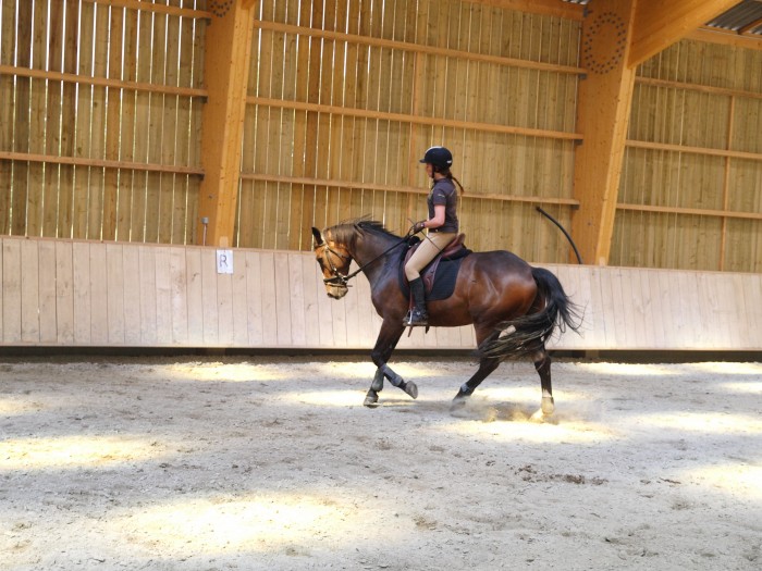 Photo de profil de oriondelu